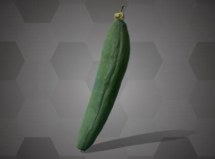 Picture of 3D model of a cucumber model (NHMW-AFW-DING-0046-034)