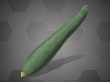 Picture of 3D model of a cucumber model (NHMW-AFW-DING-0046-131)