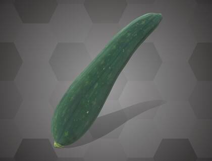 Picture of 3D model of a cucumber model (NHMW-AFW-DING-0046-132)