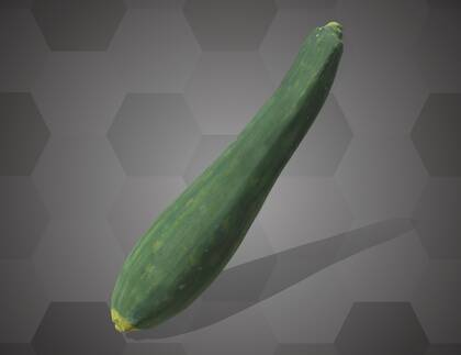 Picture of 3D model of a cucumber model (NHMW-AFW-DING-0046-135)