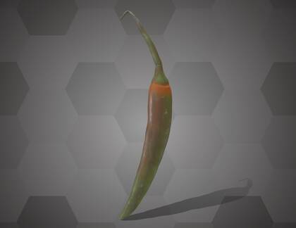 Picture of 3D model of a chili pepper model (NHMW-AFW-DING-0046-072)