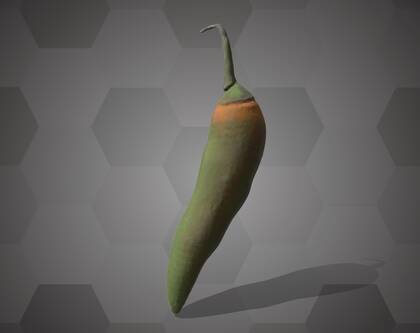 Picture of 3D model of a chili pepper model (NHMW-AFW-DING-0046-075)