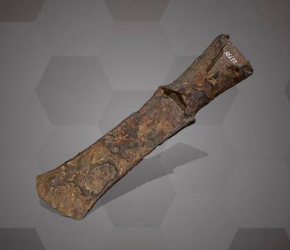 Picture of 3D model of an iron hatchet