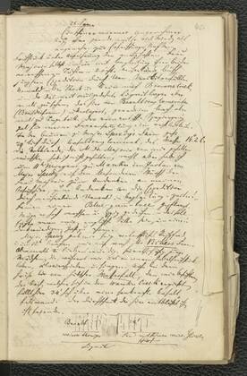 Page 45 of Hochstetter's "Auckland Diary" (Newzealand Diary 1)