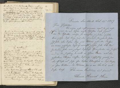 Page 11 of Hochstetter's "Auckland Diary" (Newzealand Diary 1)