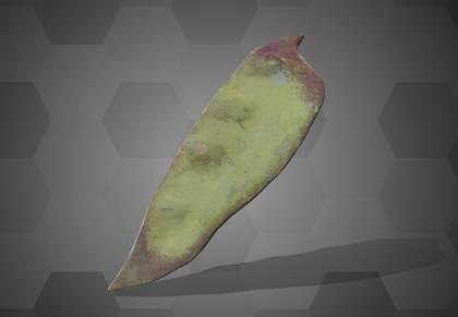 Picture of 3D model of a pea pod model (NHMW-AFW-DING-0046-025)