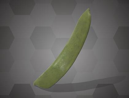 Picture of 3D model of a pea pod model (NHMW-AFW-DING-0046-026)