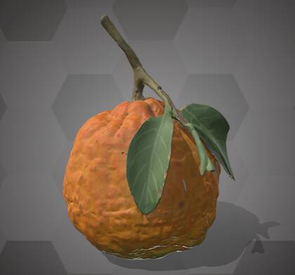 Picture of the 3D model of an orange (NHMW-AFW-DING-0046-004)Picture of the 3D model of an orange (NHMW-AFW-DING-0046-004)