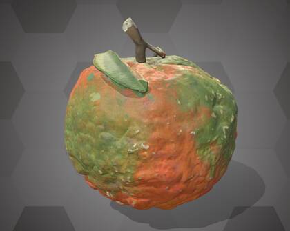 Picture of the 3D model of an orange (NHMW-AFW-DING-0046-007)