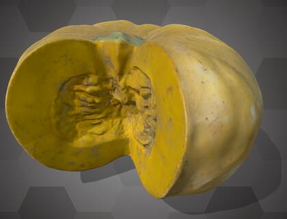 Picture of 3D model of a pumpkin model (NHMW-AFW-DING-0046-113)