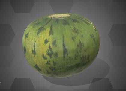 Picture of 3D model of a watermelon model (NHMW-AFW-DING-0046-151)