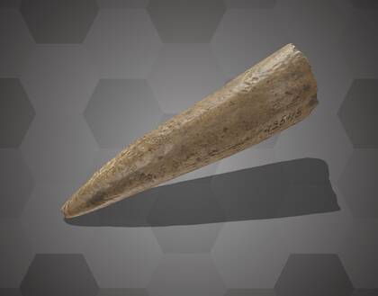 Picture of a bone point fragment from layer 4 of the Willendorf II site