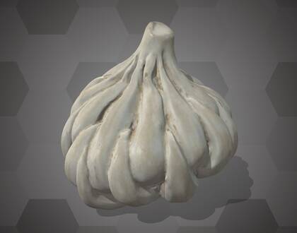 Picture of 3D model of a garlic model