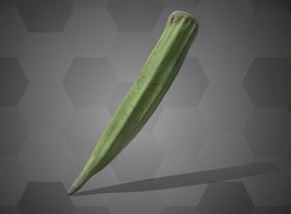 Picture of 3D model of a bhindi model (NHMW-AFW-DING-0046-019)