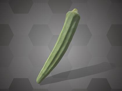 Picture of 3D model of a bhindi model (NHMW-AFW-DING-0046-023)