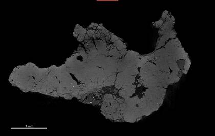 Vitrual slice through a rhizolith based on a microCT scan (NHMW-GEO-2022-0136-0015)