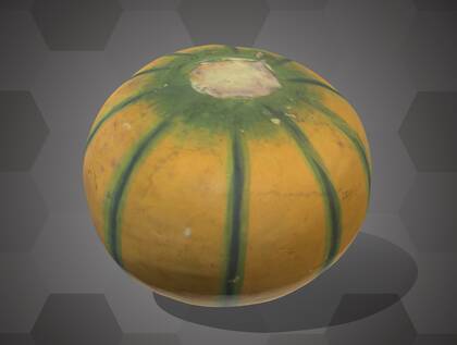 Picture of 3D model of a pumpkin model (NHMW-AFW-DING-0046-164)