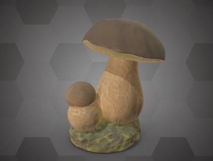 Picture of 3D model of a Boletus edulis model