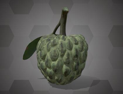 Picture of 3D model of a sugar apple model