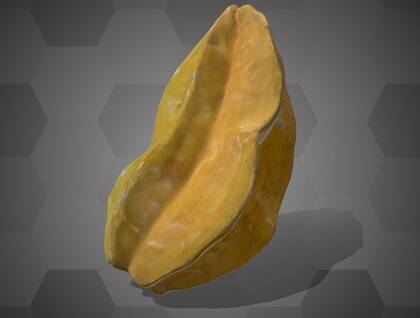 Picture of 3D model of a carambola model (NHMW-AFW-DING-0046-114)