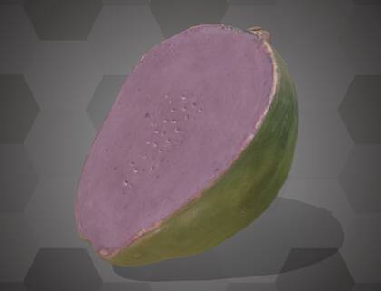 Picture of the 3D model of a guava fruit model (NHMW-AFW-DING-0046-002)