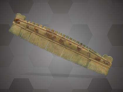 Picture of 3D model of a bone comb