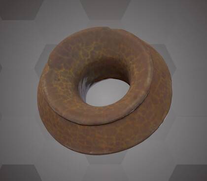 Picture of the 3D model of an amber ring