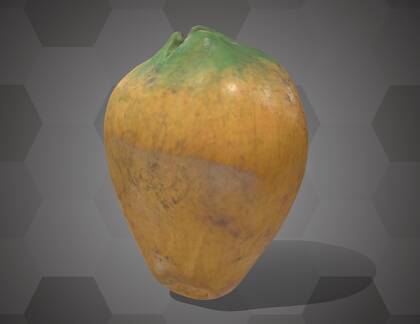 Picture of 3D model of a cacao pod model (NHMW-AFW-DING-0046-048)