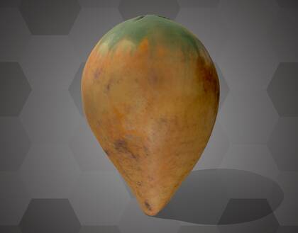 Picture of 3D model of a cacao pod model (NHMW-AFW-DING-0046-050)