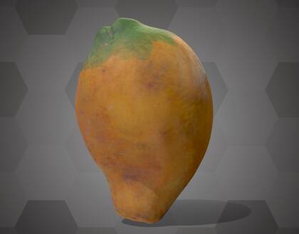 Picture of 3D model of a cacao pod model (NHMW-AFW-DING-0046-051)