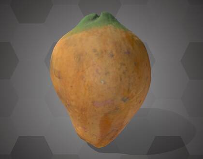 Picture of 3D model of a cacao pod model (NHMW-AFW-DING-0046-052)