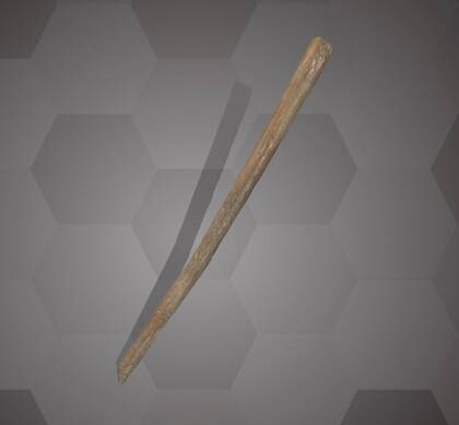 Picture of the 3D model of a bone rod