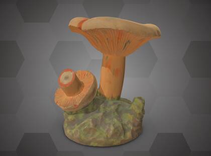 Picture of 3D model of an Agaricus deliciosus model