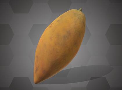 Picture of 3D model of a jujube model (NHMW-AFW-DING-0046-136)