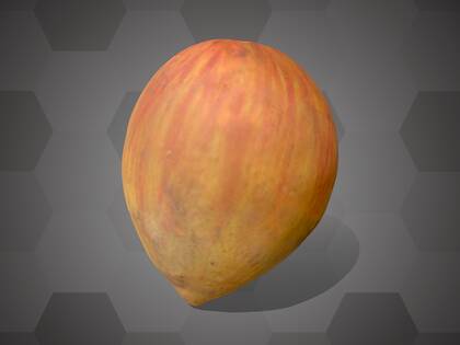 Picture of 3D model of a jujube model (NHMW-AFW-DING-0046-138)