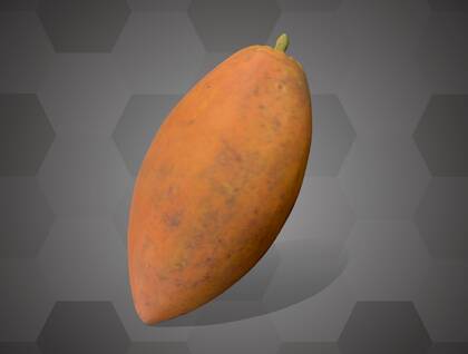 Picture of 3D model of a jujube model (NHMW-AFW-DING-0046-139)