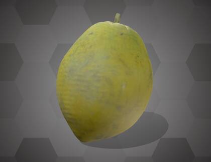 Picture of 3D model of a jujube model (NHMW-AFW-DING-0046-142)