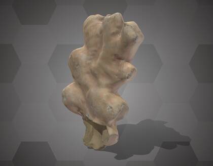 Picture of 3D model of a ginger model (NHMW-AFW-DING-0046-046)