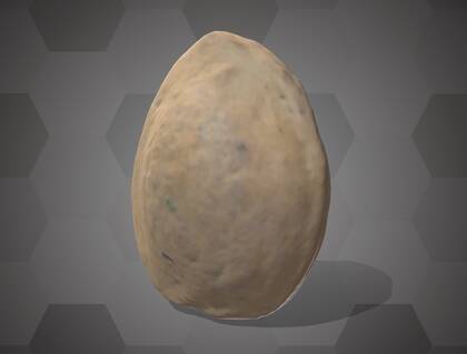 Picture of 3D model of an apricot seed model (NHMW-AFW-DING-0046-064)