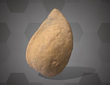 Picture of 3D model of an apricot seed model (NHMW-AFW-DING-0046-065)