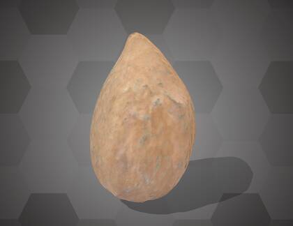 Picture of 3D model of an apricot seed model (NHMW-AFW-DING-0046-068)