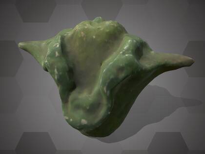 Picture of 3D model of a water caltrop fruit model (NHMW-AFW-DING-0046-123)