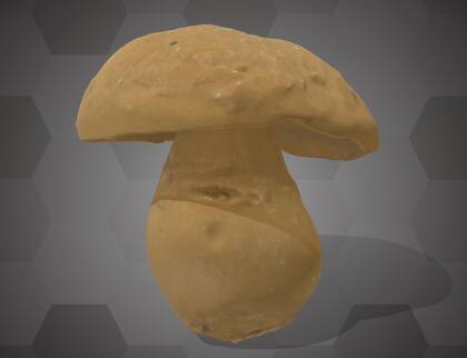 Picture of 3D model of a Neoboletus model (NHMW-AFW-DING-0046-053)