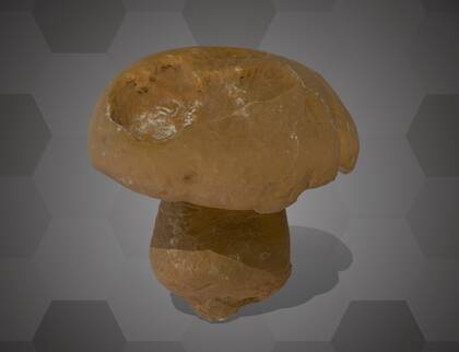 Picture of 3D model of a Neoboletus model (NHMW-AFW-DING-0046-057)