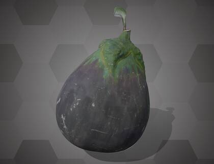 Picture of 3D model of an eggplant model (NHMW-AFW-DING-0046-117)