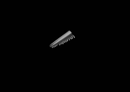 Volume rendering of the third part ("skull 3") of the tucuxi skull