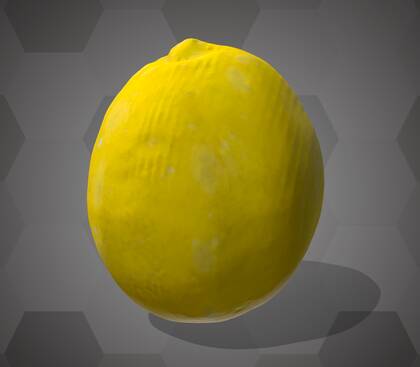 Picture of 3D model of a sweet lime model (NHMW-AFW-DING-0046-060)