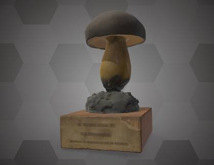 Picture of 3D model of a Boletus edulis model